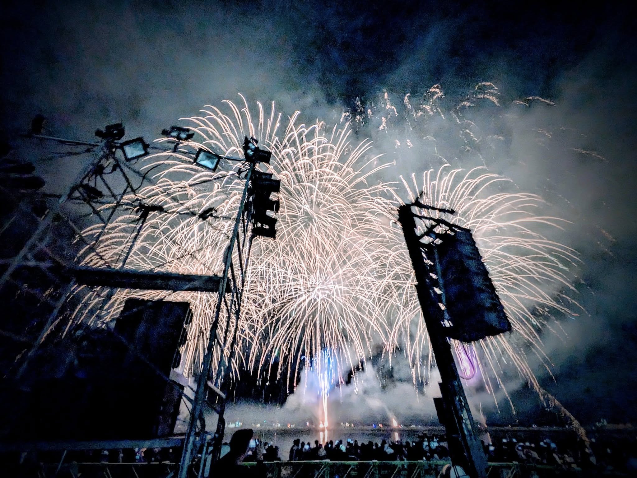 実績写真：伊予彩まつり